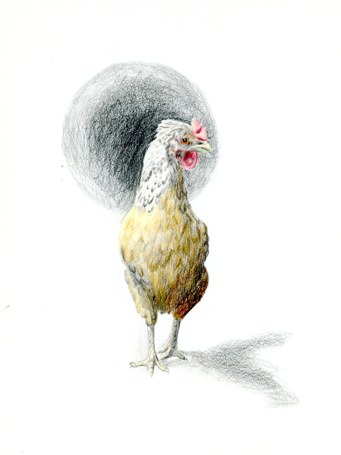Carmen