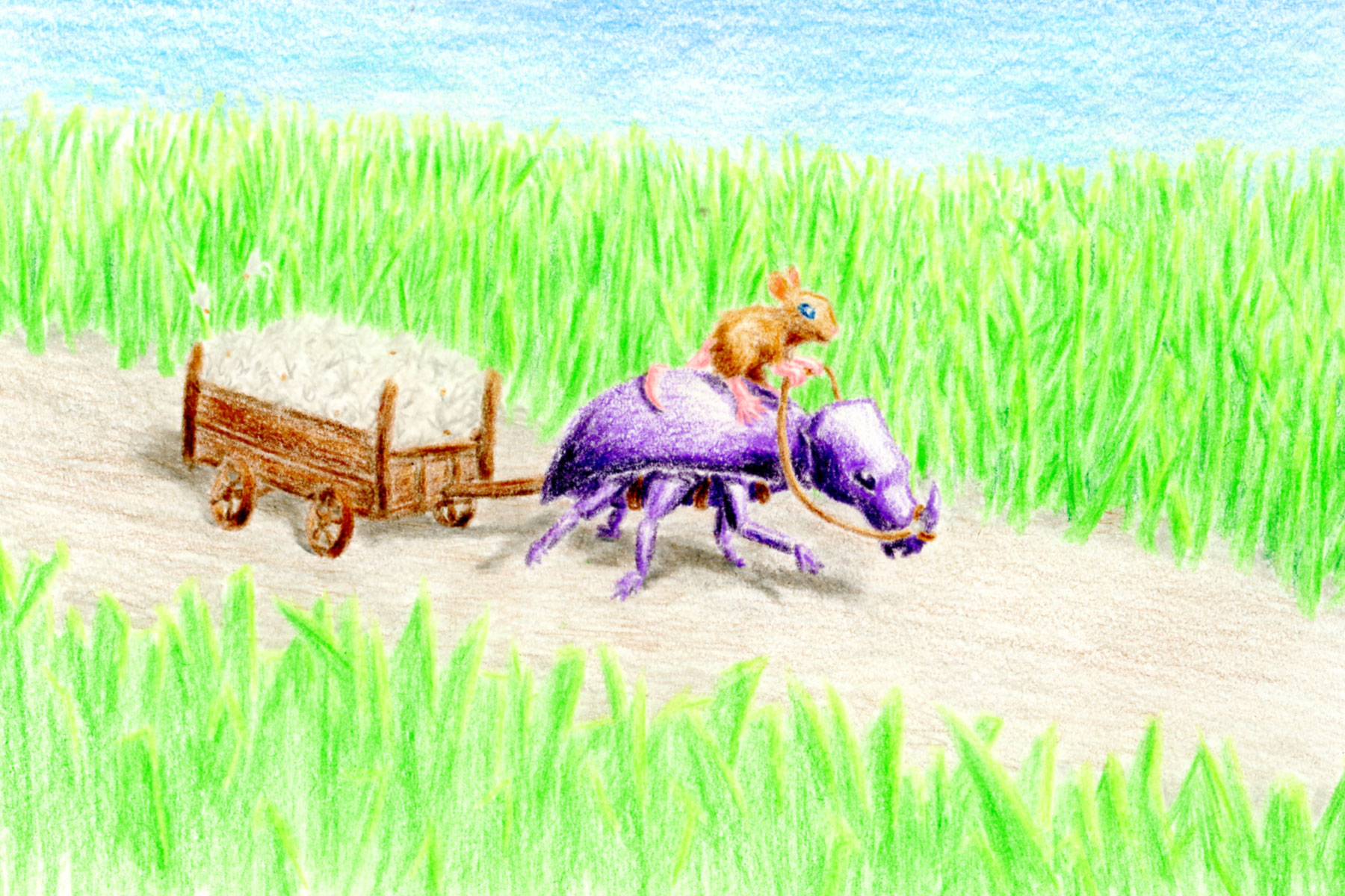 Mouse and Beetle